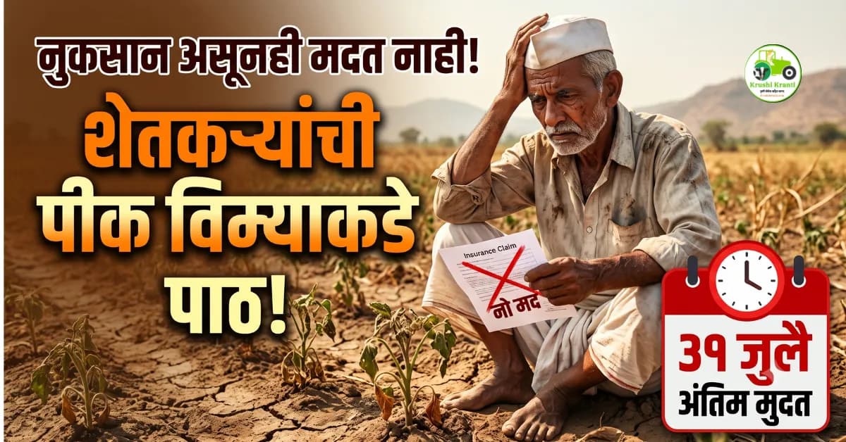 नुकसान होऊनही मदत न मिळाल्याने शेतकऱ्यांची यंदा पीक विम्याकडे पाठ