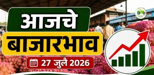 कांद्याला 3,800 रुपयांपर्यंत दर; गवार, टोमॅटो आणि पालेभाज्यांचे ताजे बाजारभाव