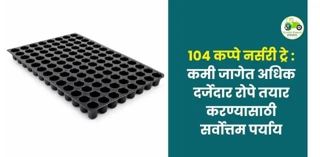कमी जागेत अधिक दर्जेदार रोपे तयार करण्यासाठी सर्वोत्तम पर्याय