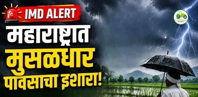 IMD चा मोठा इशारा; विदर्भ, कोकण, मराठवाडा आणि मध्य महाराष्ट्रात मुसळधार पावसाची शक्यता