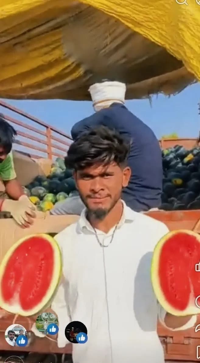 टरबूज, खरबूज, केळी व डांगर भोपळा खरेदी सुरू