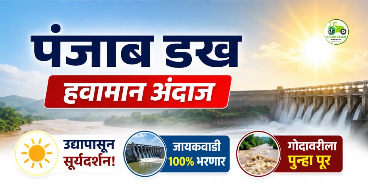 पंजाब डख हवामान अंदाज (३१ जुलै): उद्यापासून सूर्यदर्शन! जायकवाडी १००% भरणार, गोदावरीला पुन्हा पूर