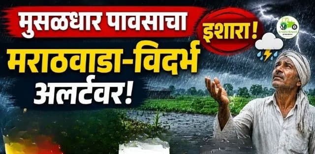 मराठवाडा-विदर्भात मुसळधार पावसाचा इशारा! 31 जुलै आणि 1 ऑगस्टला 'या' जिल्ह्यांत अतिवृष्टीची शक्यता