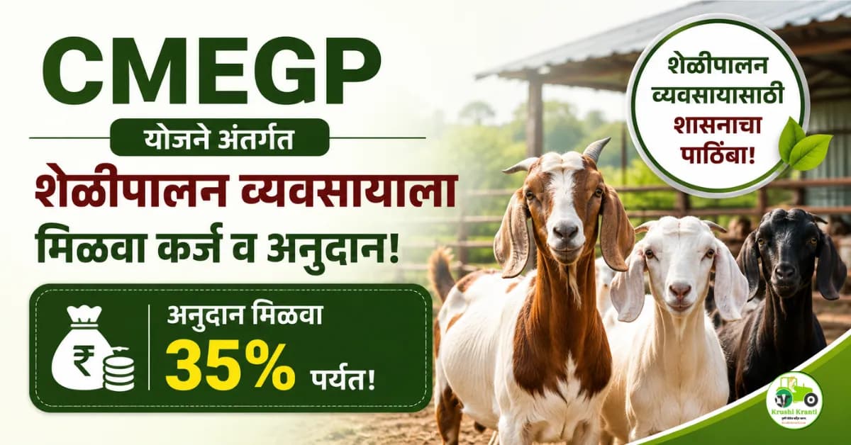 CMEGP योजने अंतर्गत शेळीपालन व्यवसायाला मिळवा कर्ज व अनुदान