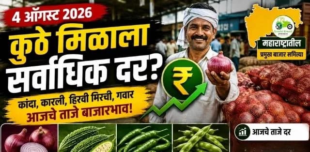 कांदा, कारली, हिरवी मिरची आणि गवारला कुठे मिळाला सर्वाधिक दर?