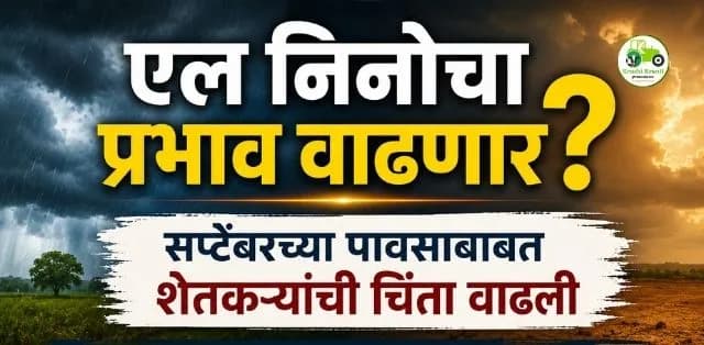 एल निनोचा प्रभाव वाढणार? सप्टेंबरच्या पावसाबाबत शेतकऱ्यांची चिंता वाढली