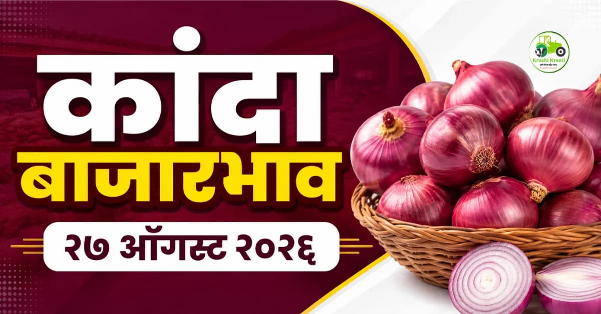२७ ऑगस्ट २०२६ कांदा बाजारभाव