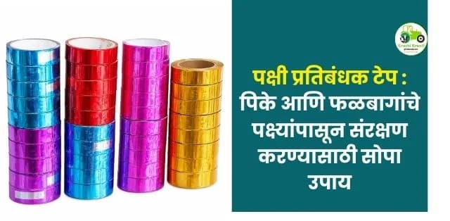 पिके आणि फळबागांचे पक्ष्यांपासून संरक्षण करण्यासाठी सोपा उपाय