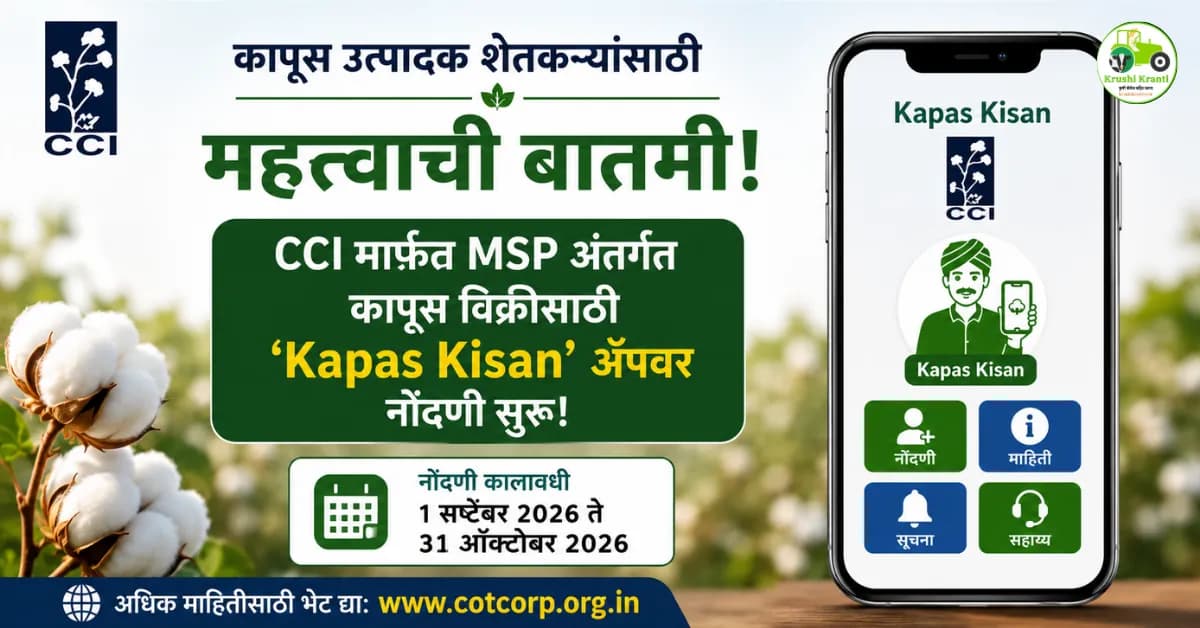 कापूस उत्पादक शेतकऱ्यांसाठी मोठी बातमी! ‘Kapas Kisan’ ॲपवर नोंदणी सुरू, जाणून घ्या अंतिम तारीख