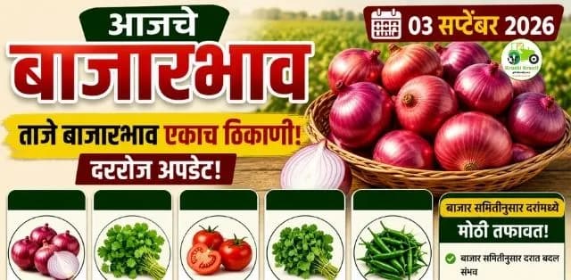 आजचे कांदा, कोथिंबीर, टोमॅटो, मेथी आणि हिरवी मिरची बाजारभाव
