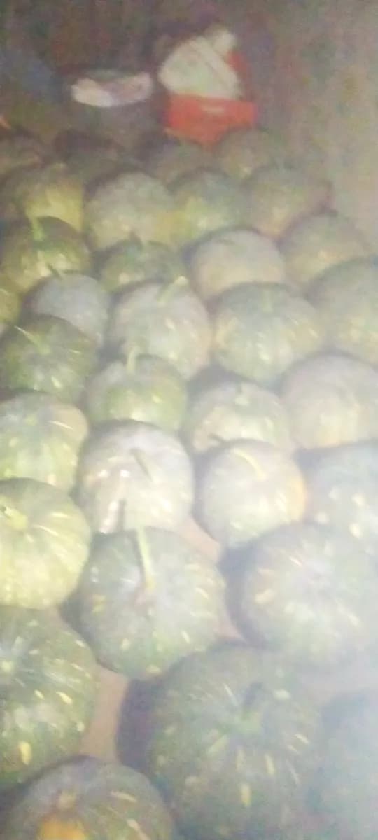 निशा डांगर 10 ते 12 टन विक्रीसाठी उपलब्ध
