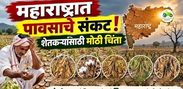 महाराष्ट्रात दुष्काळसदृश परिस्थितीची चिंता; पावसाअभावी शेतकरी संकटात, सरकारकडून परिस्थितीचा आढावा