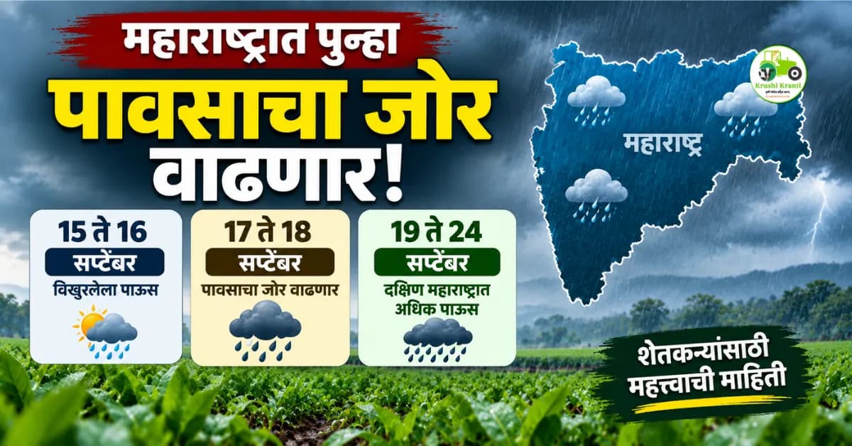 महाराष्ट्रात पुन्हा पावसाचा जोर; 17 ते 24 सप्टेंबरचा अंदाज जाणून घ्या