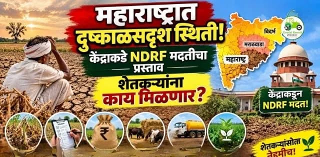 महाराष्ट्रातील दुष्काळसदृश परिस्थितीवर सरकारची तयारी; केंद्राकडे मदतीचा प्रस्ताव, शेतकऱ्यांना दिलासा मिळणार?