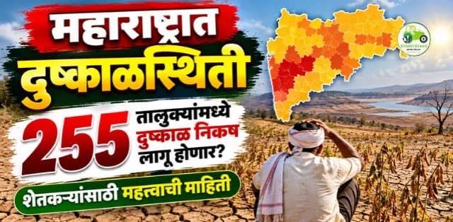 महाराष्ट्रात दुष्काळाची गंभीर स्थिती? २५५ तालुक्यांमध्ये दुष्काळाचे निकष लागू होणार
