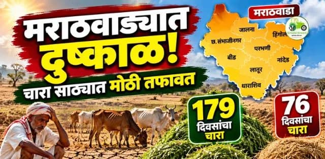 मराठवाड्यात दुष्काळाची तीव्रता वाढली; काही जिल्ह्यांत १७९ दिवसांचा चारा, तर काही ठिकाणी फक्त ७६ दिवसांचा साठा