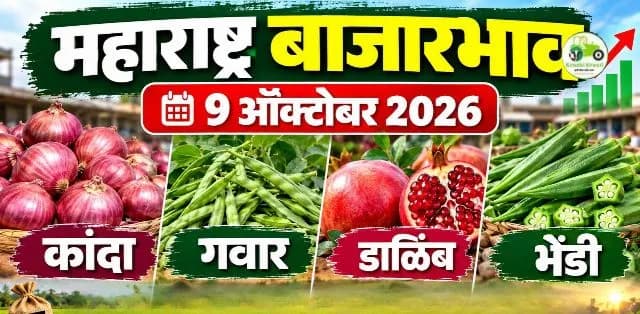 कांदा, गवार, डाळिंब आणि भेंडीचे ताजे दर