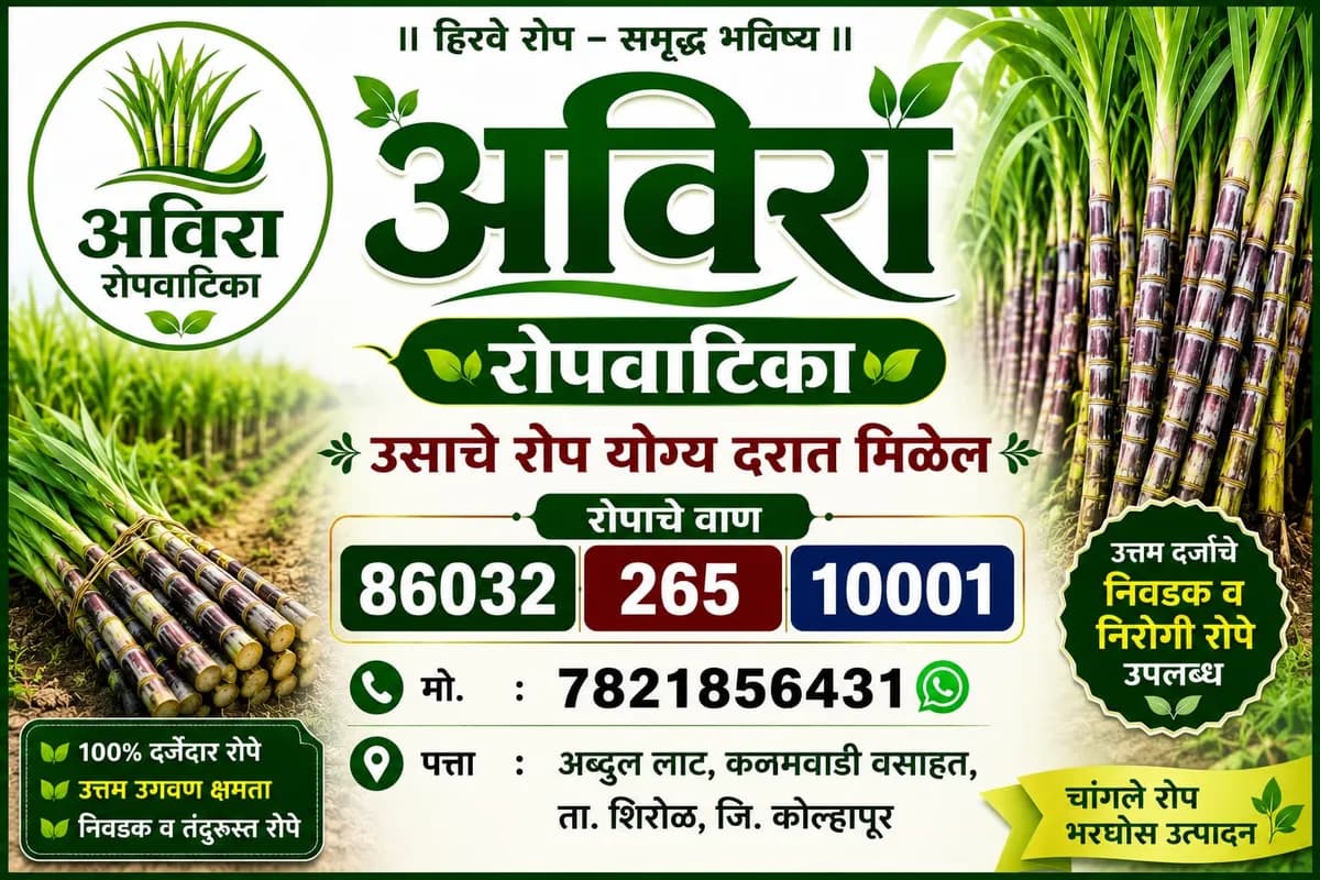 अविरा रोपवाटिका 