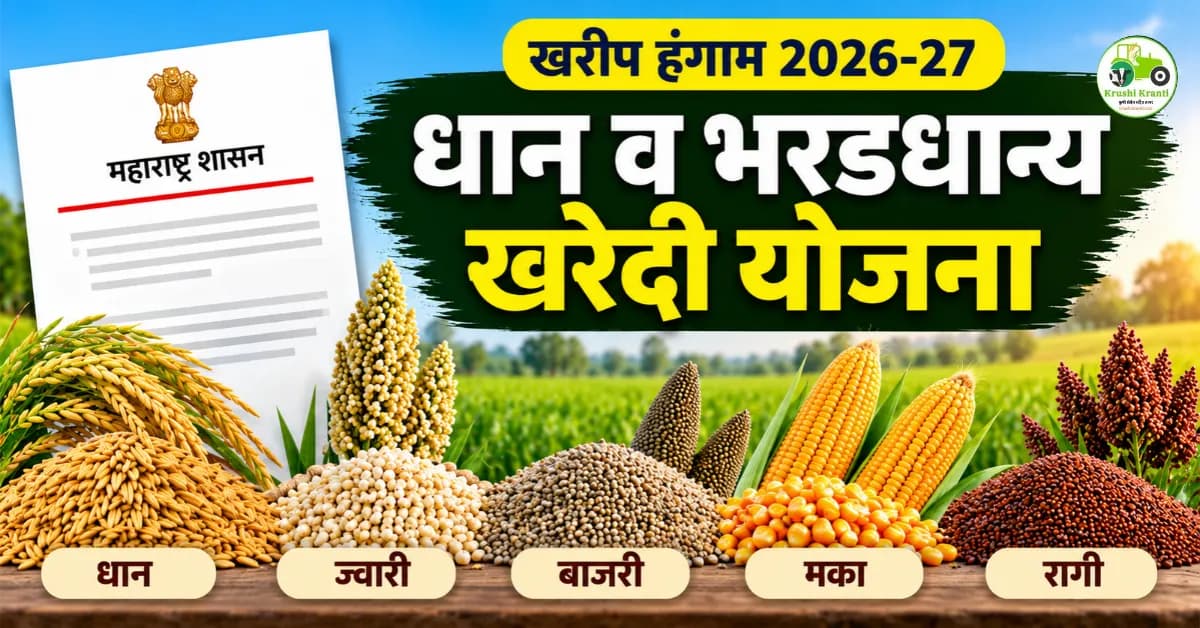 धान, ज्वारी, बाजरी, मका खरेदी 2026-27: महाराष्ट्रातील शेतकऱ्यांसाठी MSP दर जाहीर