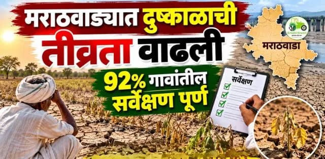 मराठवाड्यात दुष्काळाची तीव्रता वाढली; ९२ टक्के गावांतील सर्वेक्षण पूर्ण, शेतकरी मदतीच्या प्रतीक्षेत