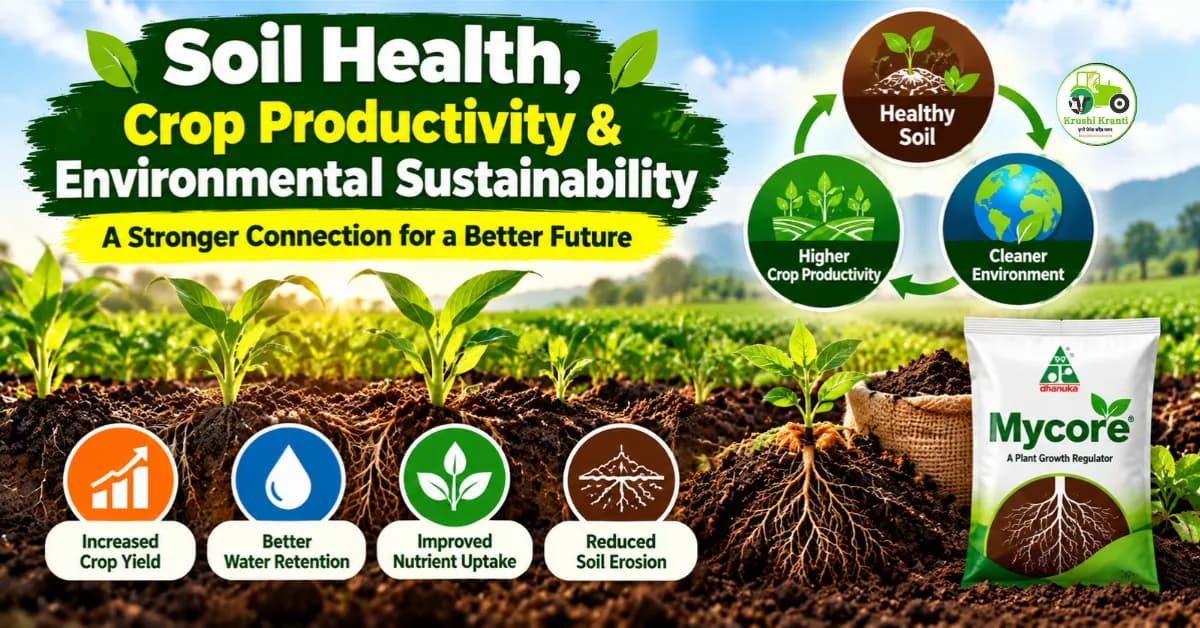 Soil Health and Crop Productivity: Sustainable Farming Tips