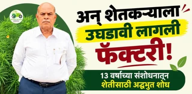 शेतकऱ्याच्या जिद्दीचा प्रवास: अमरजीत चौरसिया यांचे शेती संशोधन आणि ‘मल्टिप्लायर’ची कहाणी