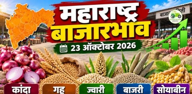 कांदा, गहू, ज्वारी, बाजरी आणि सोयाबीनचे ताजे दर