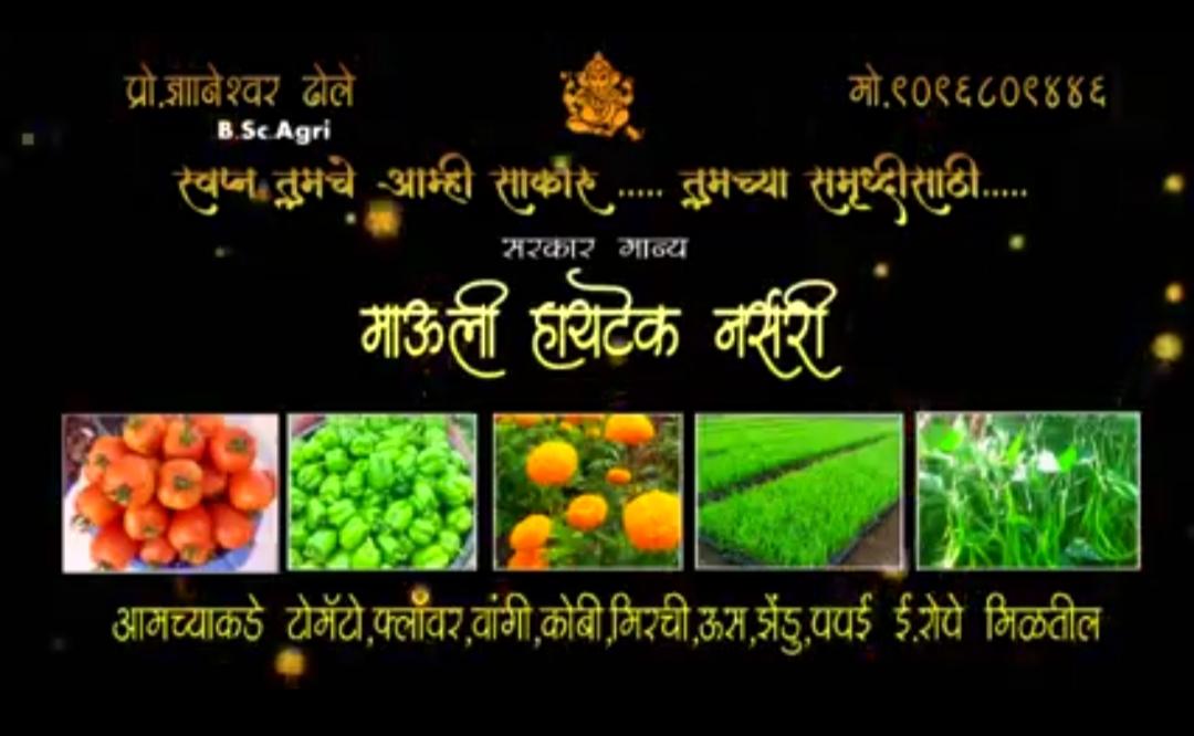 माऊली हायटेक नर्सरी व ऊस रोपवाटिका