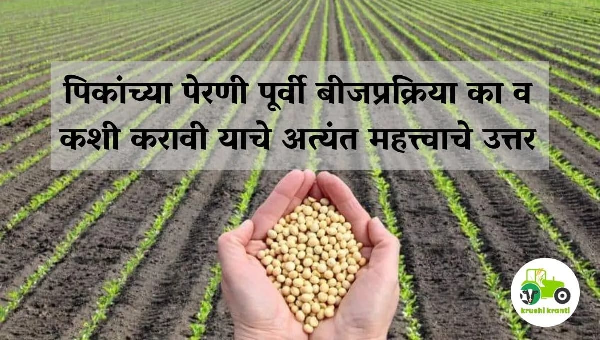 पिकांच्या पेरणी पूर्वी बीजप्रक्रिया का व कशी करावी याचे अत्यंत महत्त्वाचे उत्तर