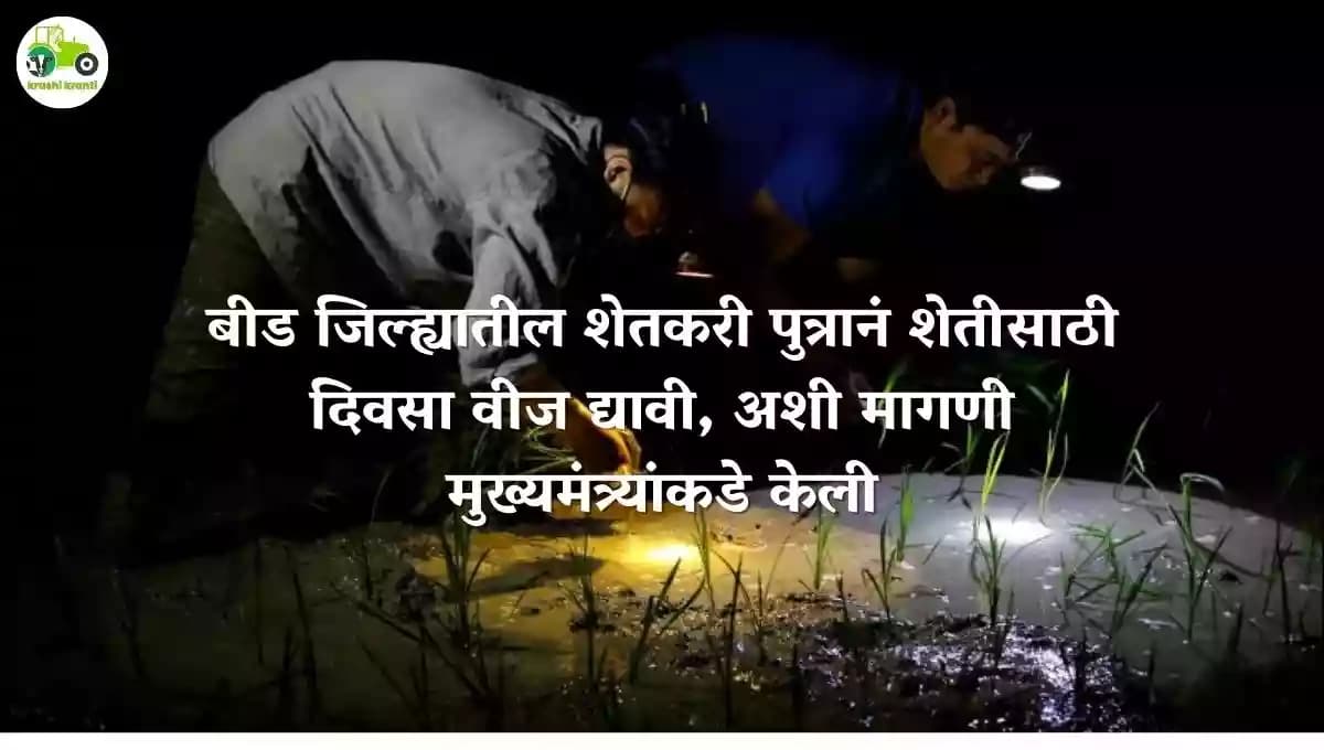 बीड जिल्ह्यातील शेतकरी पुत्रानं शेतीसाठी दिवसा वीज द्यावी, अशी मागणी मुख्यमंत्र्यांकडे केली