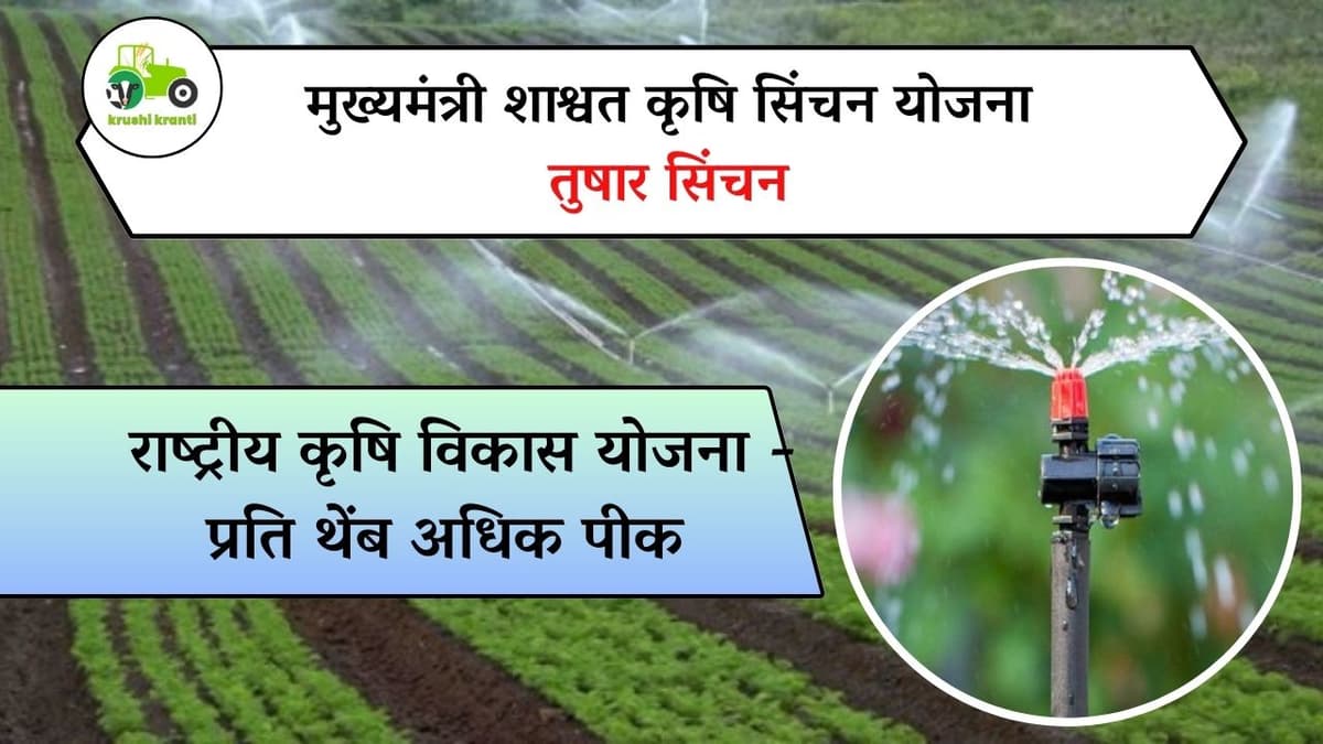 मुख्यमंत्री शाश्वत सिंचन योजना :- तुषार सिंचन