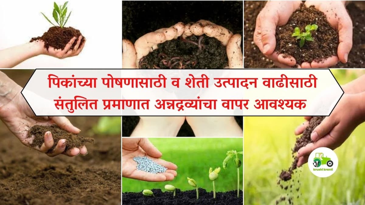 पिकांच्या पोषणासाठी व शेती उत्पादन वाढीसाठी संतुलित प्रमाणात अन्नद्रव्यांचा वापर आवश्यक