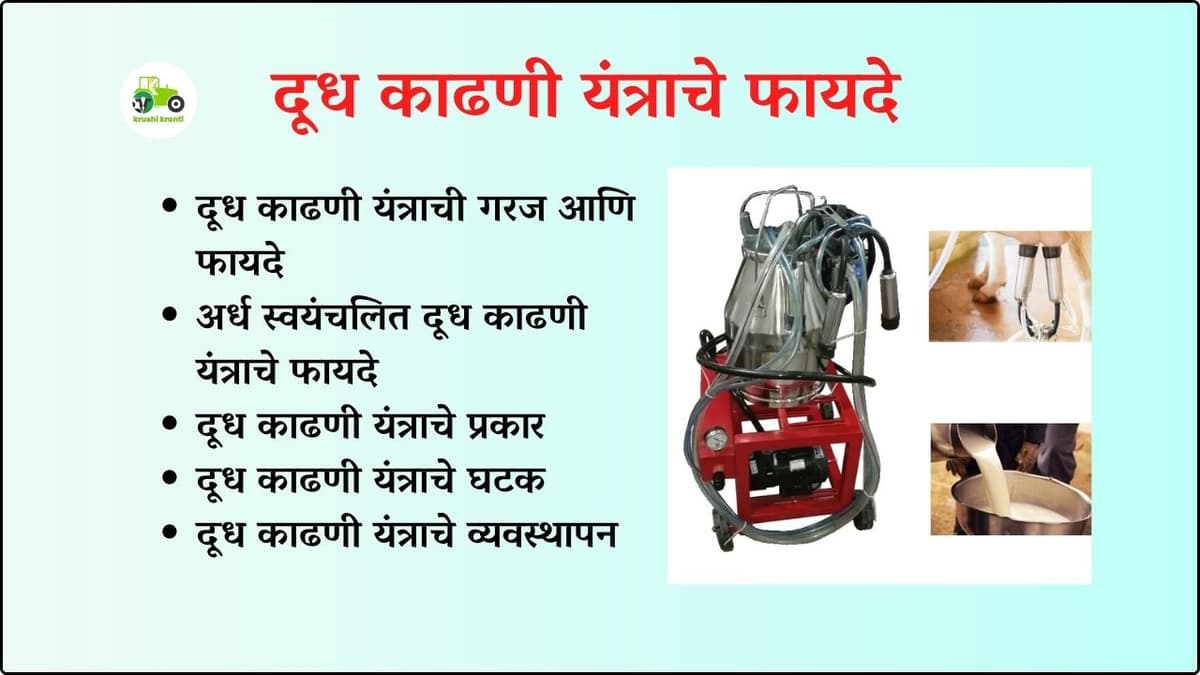 Milking Machine : दूध काढणी यंत्राची गरज आणि फायदे