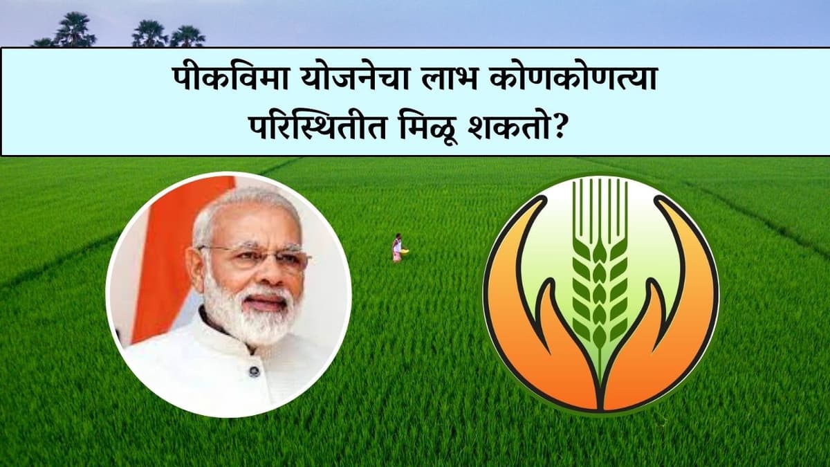 pik vima yojana : पीकविमा योजनेचा लाभ कोणकोणत्या परिस्थितीत मिळू शकतो?