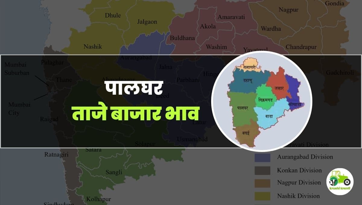 आजचे पालघर बाजारभाव