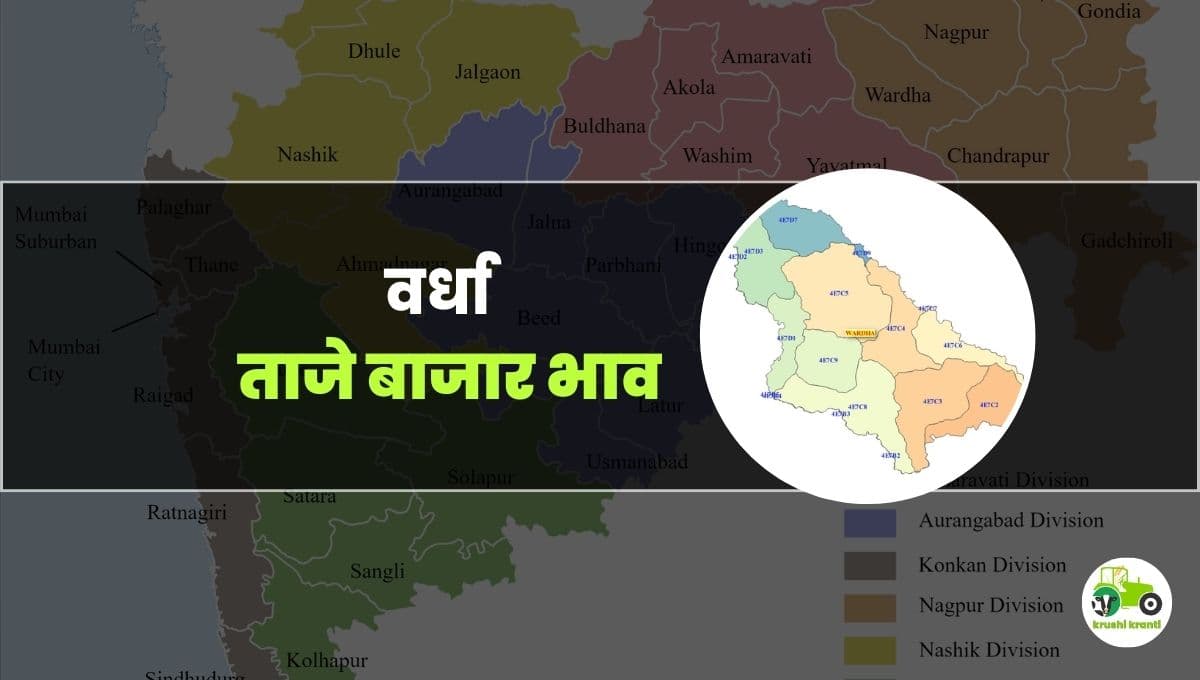 आजचे वर्धा बाजारभाव