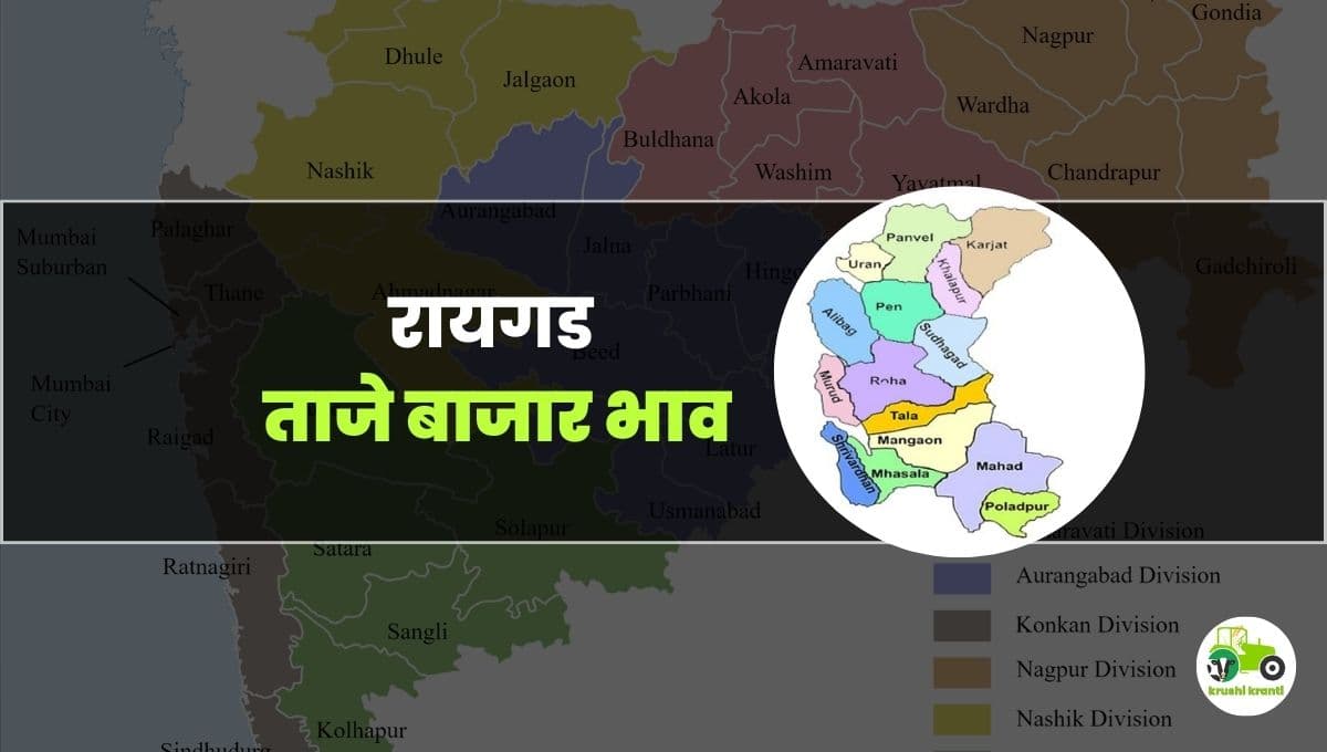 आजचे रायगड बाजारभाव