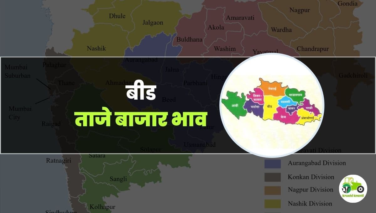 आजचे बीड बाजारभाव