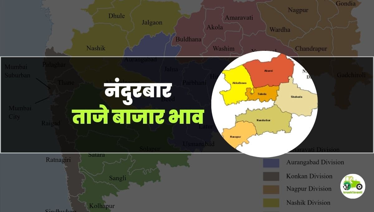 आजचे नंदुरबार बाजारभाव