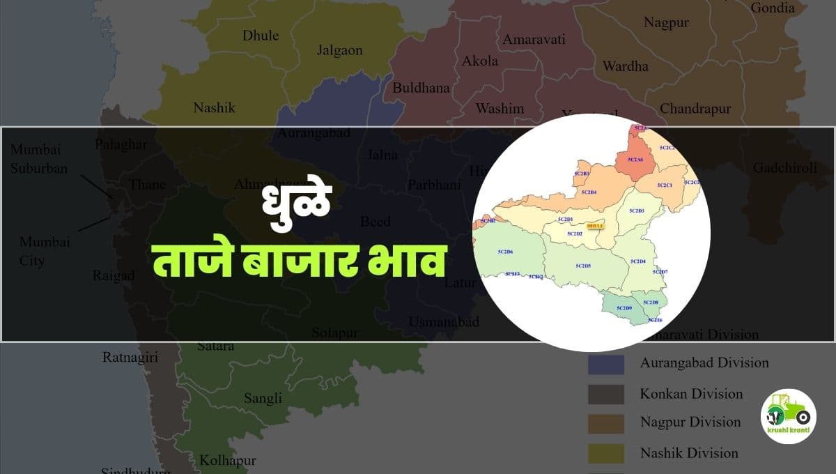 आजचे धुळे बाजारभाव