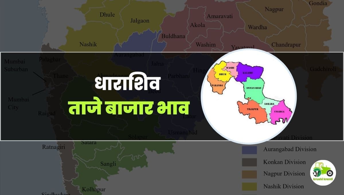 आजचे धाराशिव बाजारभाव