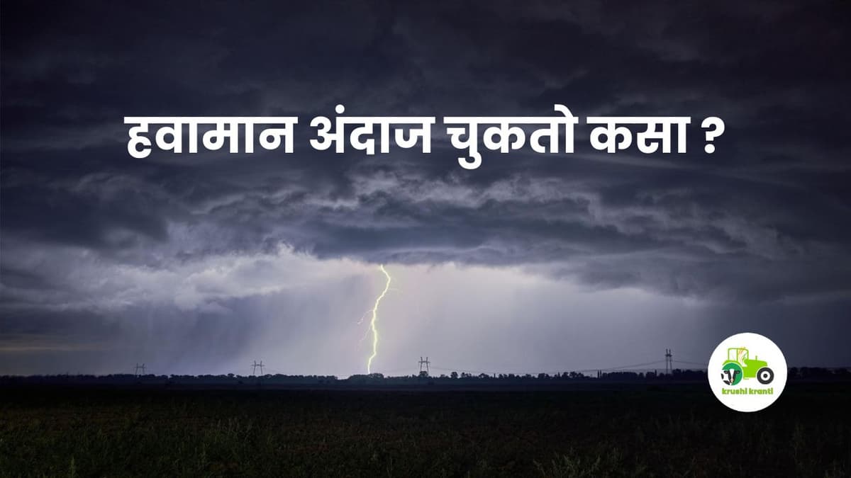 Weather Update : हवामान अंदाज चुकतो कसा? राजू शेट्टी हवामान खात्यावर भडकले...