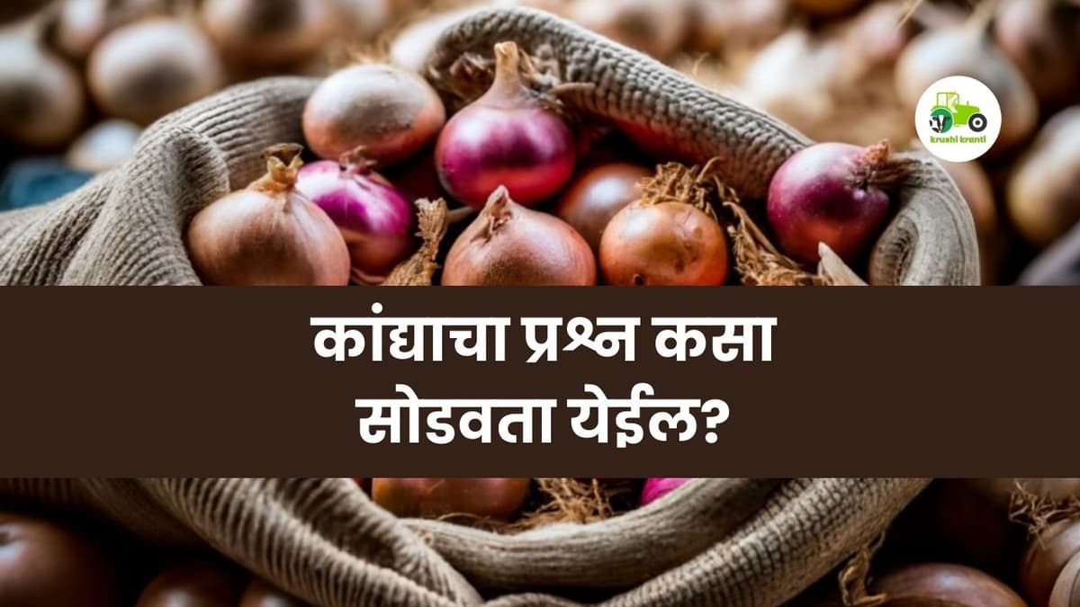 Onion Market : कांद्याचा प्रश्न कसा सोडवता येईल?