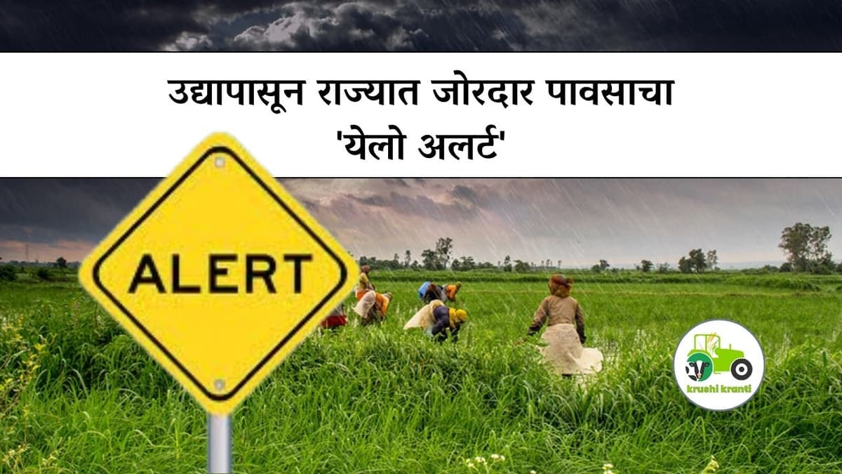 Weather Alert : उद्यापासून राज्यात जोरदार पावसाचा 'येलो अलर्ट'