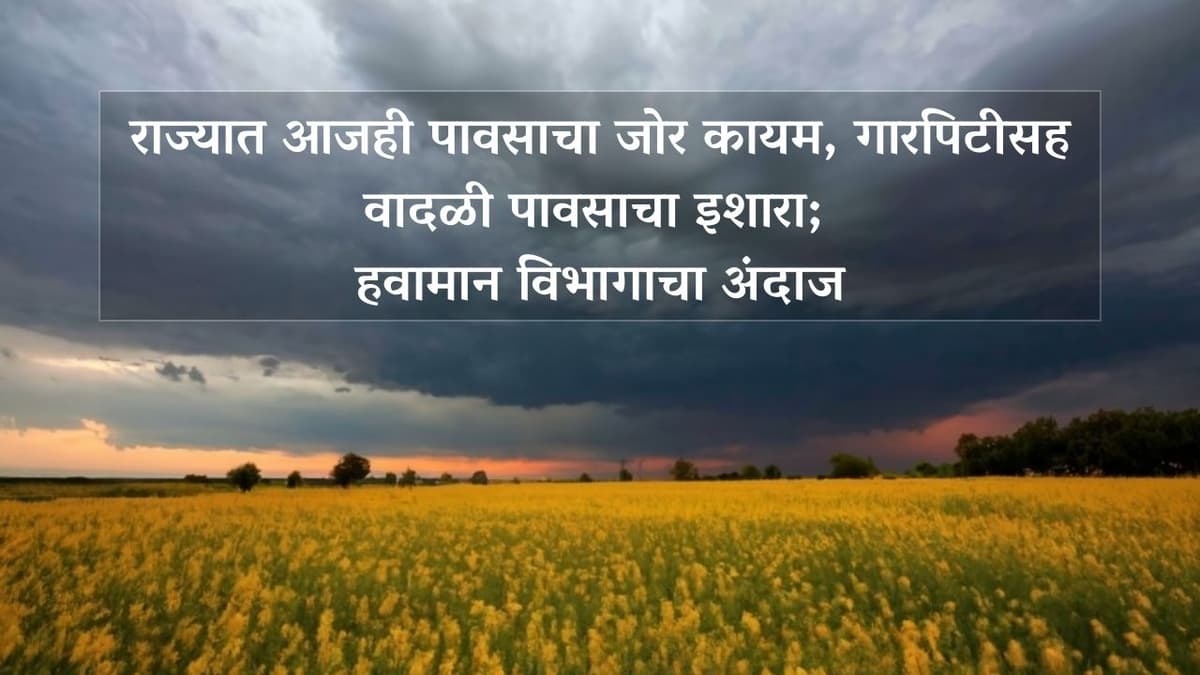 Weather Forcast : राज्यात आजही गारपिटीसह वादळी पावसाचा इशारा