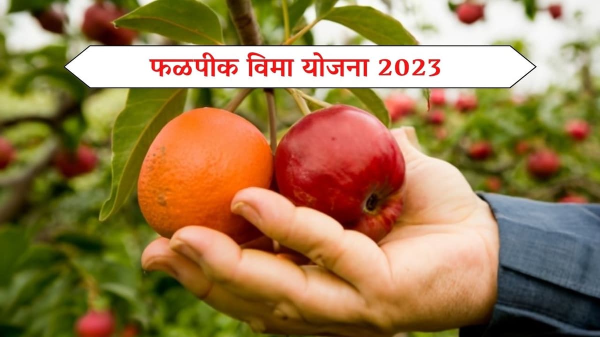 Crop Insurance : फळपीक विमा योजना 2023, विमा भरण्याची शेवटची तारिख किती?