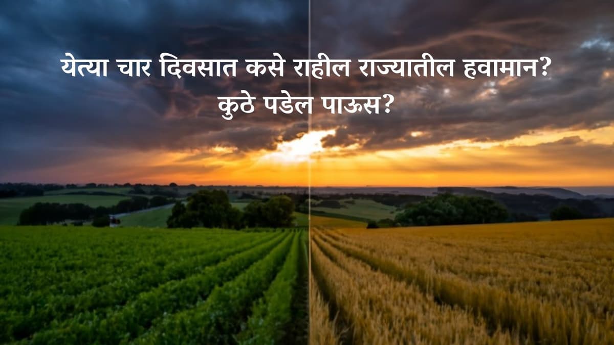 Weather : येत्या चार दिवसात कसे राहील राज्यातील हवामान? कुठे पडेल पाऊस?