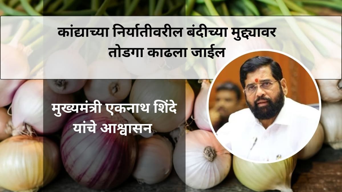 कांद्याच्या निर्यातीवरील बंदीच्या मुद्द्यावर तोडगा काढला जाईल, असे आश्वासन मुख्यमंत्री एकनाथ शिंदे यांनी दिले आहे.