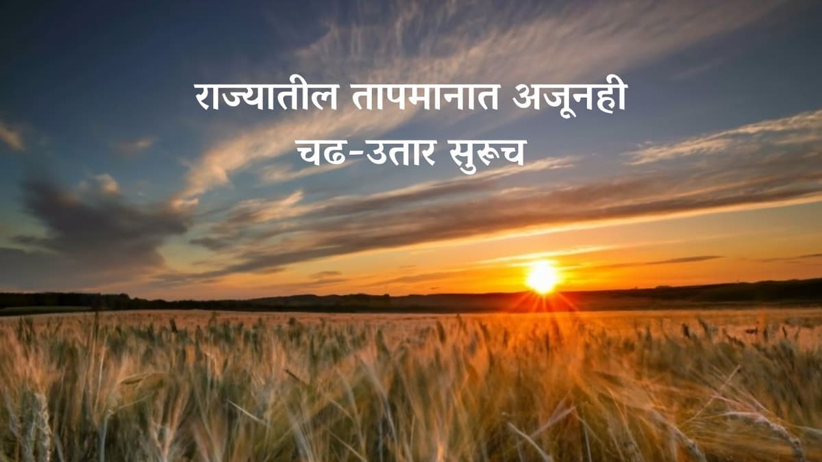 Weather : राज्यातील तापमानात अजूनही चढ-उतार सुरूच