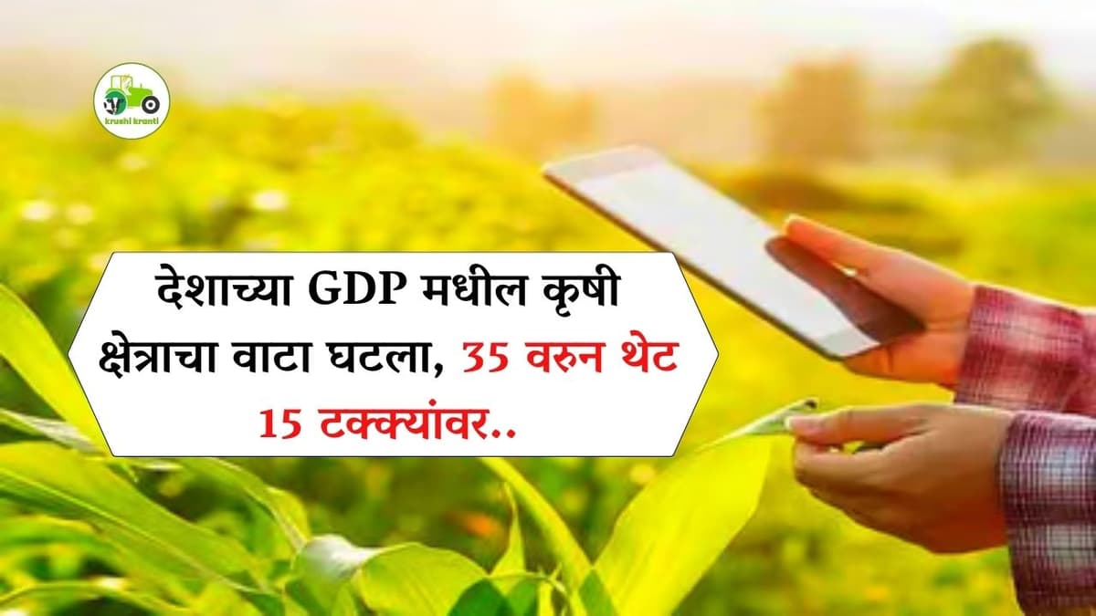 Krushi News : देशाच्या GDP मधील कृषी क्षेत्राचा वाटा 35 वरुन थेट 15 टक्क्यांवर
